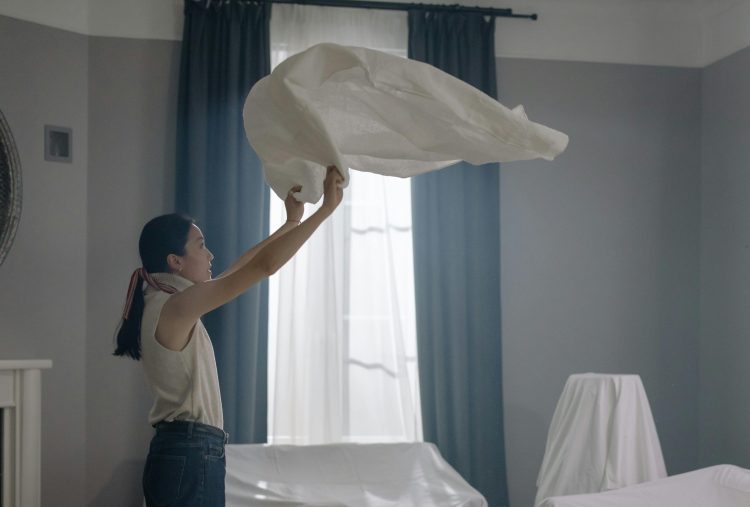 Sofa Cleaning